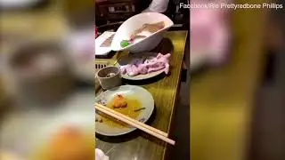 Bizarre moment 'zombie' meat moves off plate and onto floor