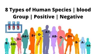 8 Types of Human Species | blood Group | Positive | Negative