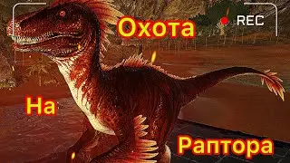 Ark mobile. Охота на раптора
