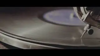 Francesco Berta - Fell on a Tree  (Official Video)