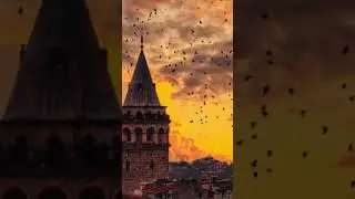 Пожалуйста🥺🫶 (я вас всех люблю)💋♥️ 