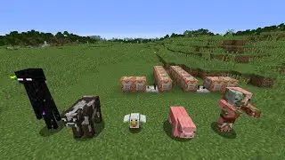 Advanced Commands Tutorial: Who Won The Game?