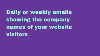 Daily or weekly emails showing the company names of your website visitors