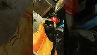 Блэкаут "по-Украински"/// Душевно так, по-домашнему!))) #shorts
