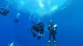 Palau 예고편