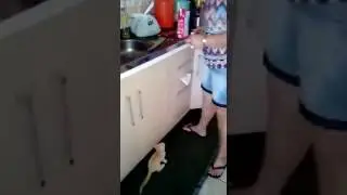НУ  РАЗВЕ ЭТО НЕ МИЛО ? 😘 👍🏻