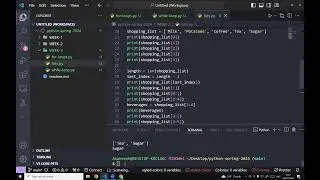 Python for Beginners: Python List Manipulation with These Essential List Methods | Lesson 9