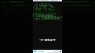 some fun with windows terminal #cmd #curl