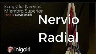 Ecografía del Nervio Radial