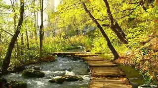 Relaxing Music (Instrumental Collection)