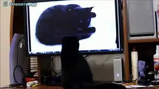 Да это же я!