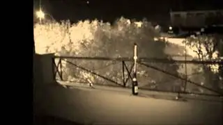Pehuen 1 2