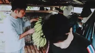 Panen pisang gaaaeeess sembari makan kerupuk