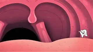 Inside a dog's mouth (ET)