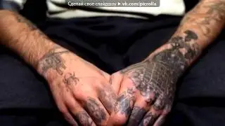 Нагора   Бей кольщик  Picrolla 360