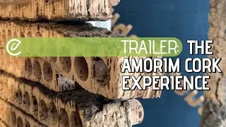 Amorim Cork Experience - Trailer