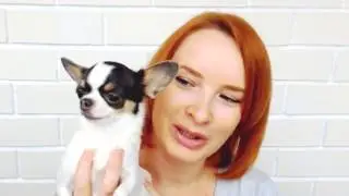 Покупки с ALIEXPRESS!!! Одежда для собак (платья, шубка, плащик)