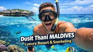 Luxury Maldives Escape 🌴 Dusit Thani Maldives Resort Tour, Snorkeling & Coral Reefs