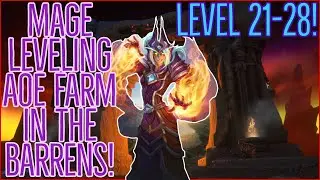 Classic WoW | AoE Mage Farm Classic Leveling Guide (The Barrens) | Level 21-28!