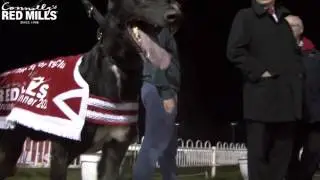 RED MILLS/Clonmel TSC Open Unraced Stake Final