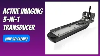 REVIEW (2026): Active Imaging 3-in-1 Transducer. Features.