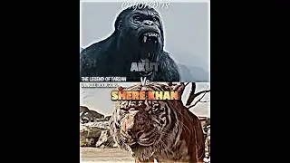 Shere Khan vs Akut #thelegendoftarzan #junglebook2016 #vsbattle #vsedit #wis #whoisstrongest #akut