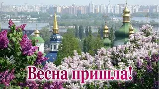 С Добрым утром! Весны Вам яркой и счастливой!