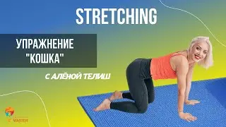 STRETCHING с Аленой Телиш