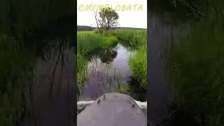 Архівна покатушка!)
