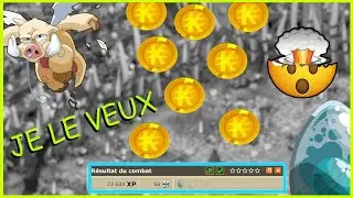 UN DROP DOFUS A TOUT PRIX ! DOFUS RETRO