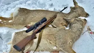 Охота на косулю 2023 | Добыл двух косуль из прицела MewLite 2-16x50 SFIR