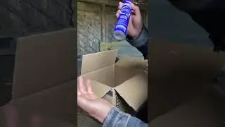 Гусыня принимает чужих гусят