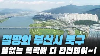 끝없는 폭락에 다 던진데이~! 절망의 부산시 북구 전재산 날린 판! #대성통곡 #가격 하락 #아파트[최근실거래가 #빅데이터 분석 직거래/1층거래제외]