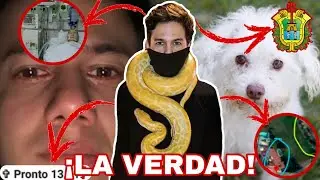 DESMINTIENDO A CARLOS NAME ¿ES FALSO? - LA VERDAD DEL CASO *CON PRUEBAS* - MARCHELITO