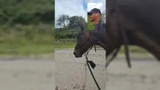 Freedom is Running with a Horse of Course - Indecisiveness is a Recipe for Regrets