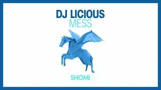 DJ Licious - Mess