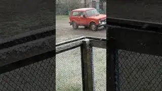 МИР! ТРУД! МАЙ! СНЕГ!
