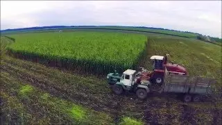 Уборка кукурузы на силос | Corn Silage