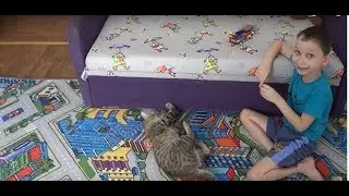 BEING PREGNANT\WE FEEL BAD\DECIDED TO TELL\LISTENED TO FOLLOWERS\WHAT'S ENOUGH