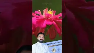 പരസ്പരം മനസ്സിലാക്കുക എന്നത് സ്നേഹത്തേക്കാൾ വലുതാണ് |😇 | Rev. Aneesh P Joseph | #shorts #motivation