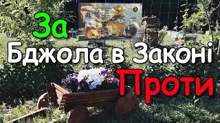 Ви За чи Проти? Новий законопроект для галузі бджільництва