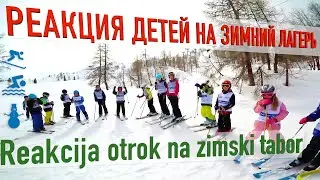 Детский зимний лагерь в Словении/Otroški zimski tabor 