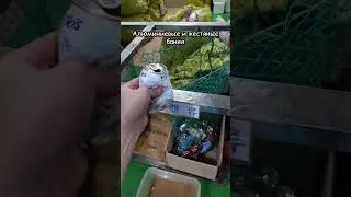 Garbage sorting in Korea 