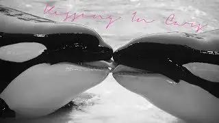 Cause' there's faith in love ♥