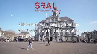 SRAL Gilt Leather film