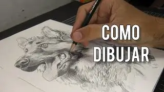 5 TIPS para Mejorar tus Dibujos!!