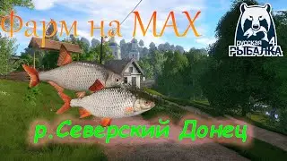 Р.Донец. Фарм на махи, тарань. Русская рыбалка 4, Аккунт универсал