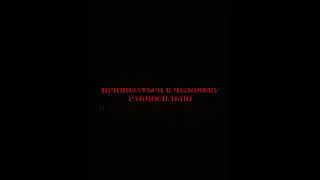 и такое видео сделал человек который привязывается к любому кто хорошо к нему относится #футаж #рек