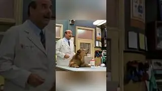 His dog will hate him for the rest of his life🤣🤣 