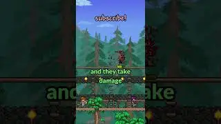 this is a really weird way to die...